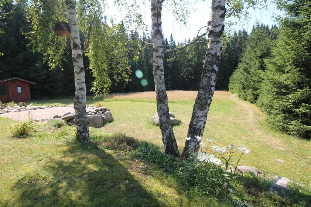 Schäfer Harrachov